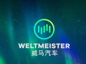 從被冷落到全網(wǎng)刷屏 一則廣告如何讓國(guó)產(chǎn)新能源車引爆美國(guó)市場(chǎng)